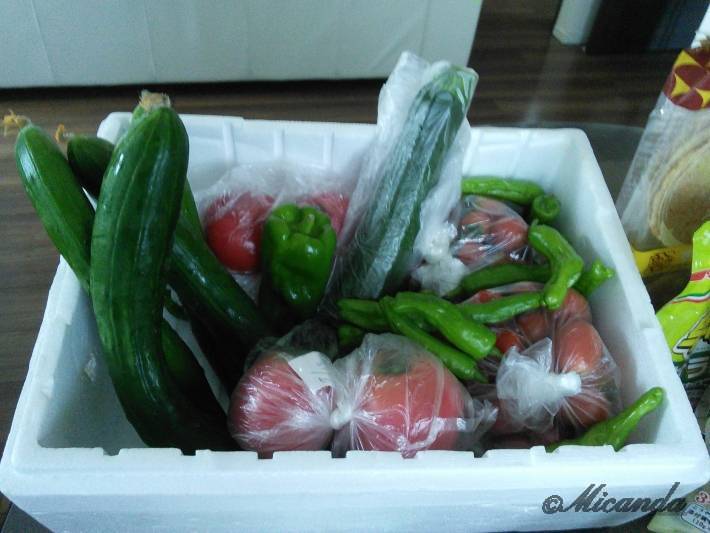 母から送られてきた家庭菜園の野菜たち