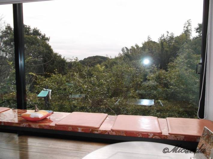 ハウスオブフレーバーズから見える人工物が一切ない鎌倉山の景色